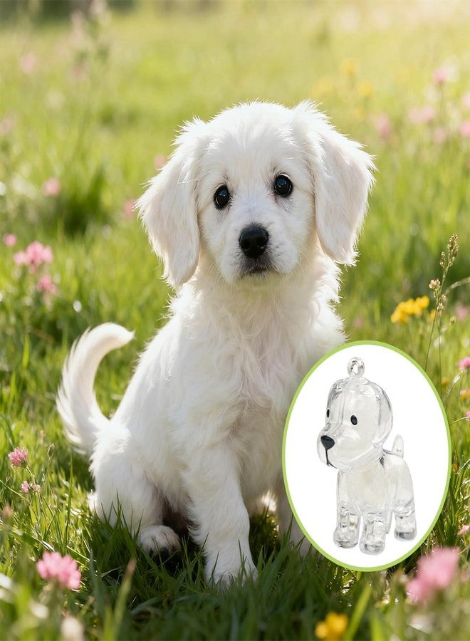 ايلان تذكار شعر الكلاب من إيلان، عبوة من قطعتين، تذكار تذكاري لشعر الحيوانات الأليفة، سلسلة مفاتيح تذكارية لشعر الحيوانات الأليفة (كلاب شفافة) - Image 3